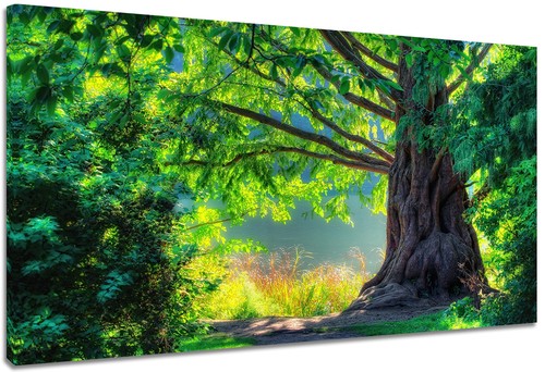 Quadro moderno arredamento - quadro,