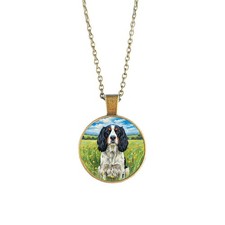Collana Springer Spaniel •