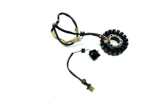 Statore alternatore magnete - statore,