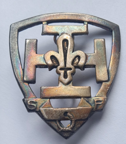 Distintivo cappello boy scout - distintivo,
