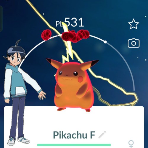 Pokémon gigantamax - pokémon,