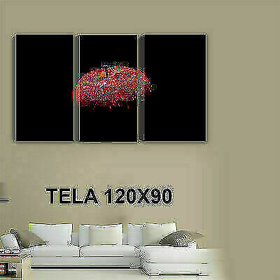 Quadri moderni tela 30x50 - quadri,