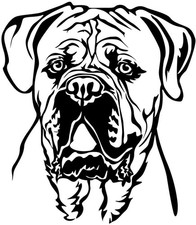 Adesivo CANE CORSO - adesivo