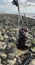 10x Dongle Puleggia Rigs 4/0