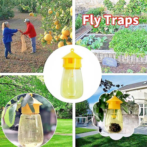 Trappola mosche frutta fori - 4,