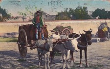 NAPOLI - COSTUMI NAPOLETANI - Ed.Cotini - Carro con Botti di Vino 1924