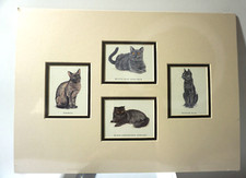 Wall Art Gatti Fashoda Londra