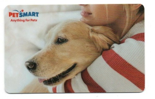 Petsmart cute dog girl sweater - dog,