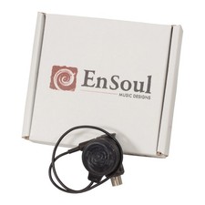 Pickup Elettrico Magnetico per