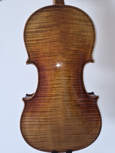 Violino premium fatto - premium,