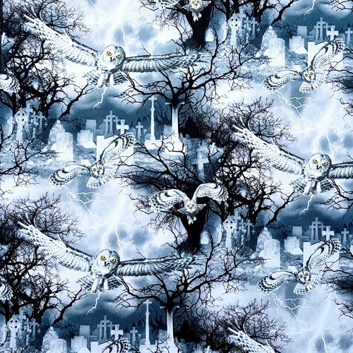 Gufo hedwig harry potter - gufo,