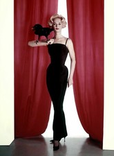 Foto Dei Pappagalli - Tippi
