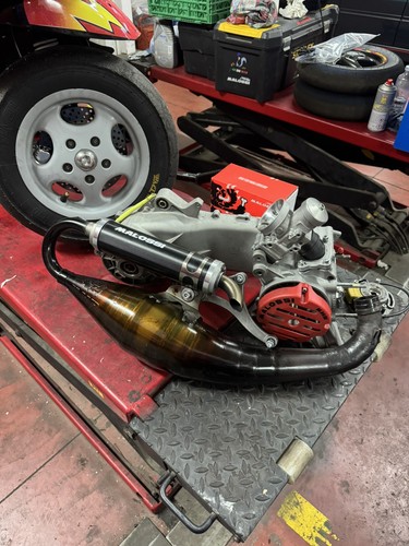 Motore zip 100cc malossi - motore,