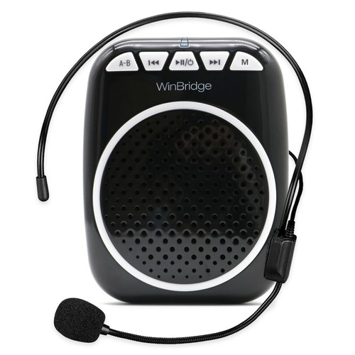 Winbridge wb001 amplificatore - wb001,