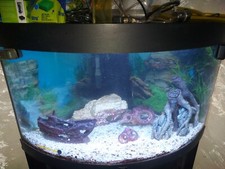 acquario juvell trigon 180 angolare