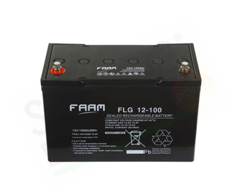 Faam flg 100 v - faam, 100ah