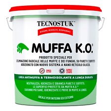 Muffa KO Tecnostuk Antimuffa Fondo Sbiancante Coprente e Igienizzante - 1 LITRO