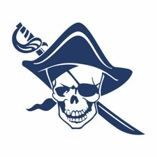 Kit 2 adesivi tuning TESCHIO