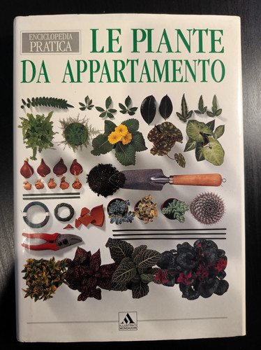 Piante appartamento - da,