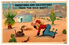 Saluti E Auguri Dal Selvaggio