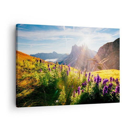 Quadro tela 70x50cm - su,