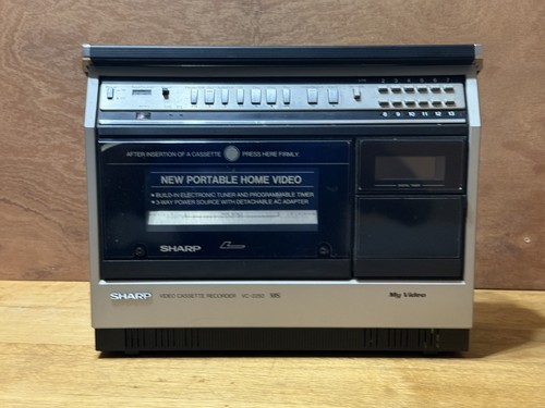 Videoregistratore portatile