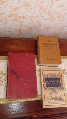 Lotto libri antichi - lotto,