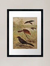 Quadro stampa su tela poster
