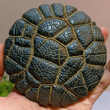 Agata Gobi Naturale "Modello