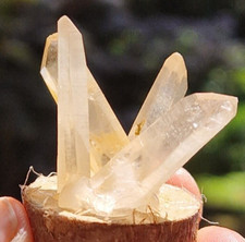 Minerali@lotto  Punte Quarzo