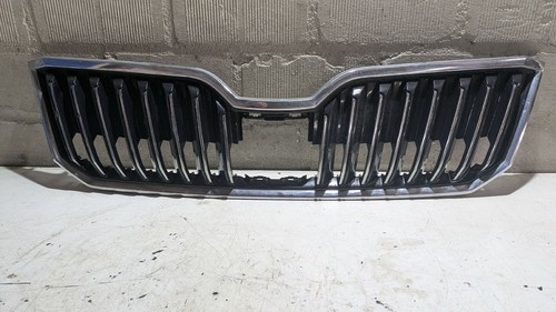 Griglia radiatore skoda - radiatore,
