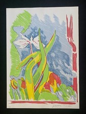 Giosetta Fioroni Agave litografia firmata con garanzia e certificata