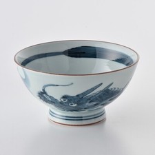 Ciotola di riso giapponese con