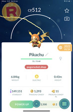 Pikachu Libre Costume
