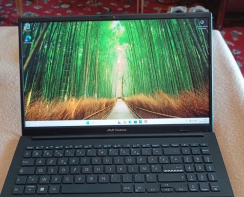 Asus vivobook - vivobook, 15