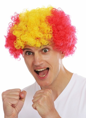 Parrucca carnevale afro - carnevale,