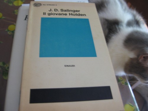 Giovane holden salinger - holden,