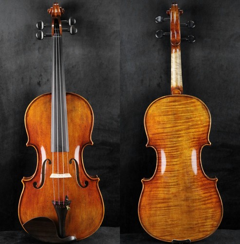 Concert master violino - master,