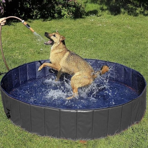 Piscina per cani - per,