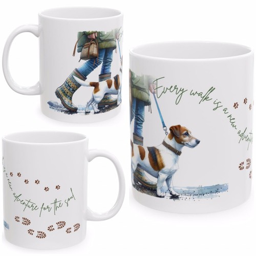 Jack russell terrier - jack,