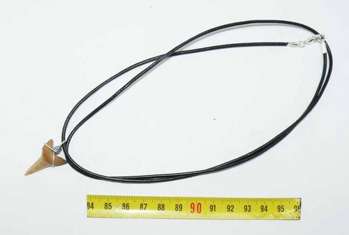 Collana pendente dente - dente, di