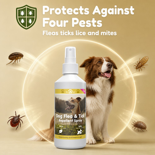 Trattamento antipulci cane - trattamento,
