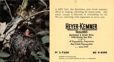 Ontano Flycatcher Heyer Kemner