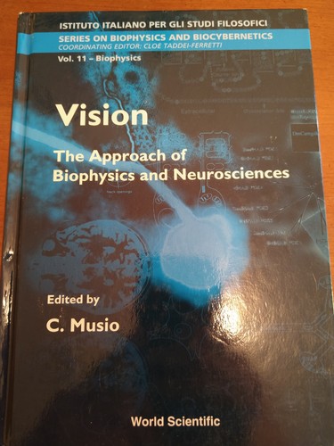 Vision the approach - vision,
