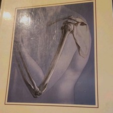 Human Anatomy by Timmons and