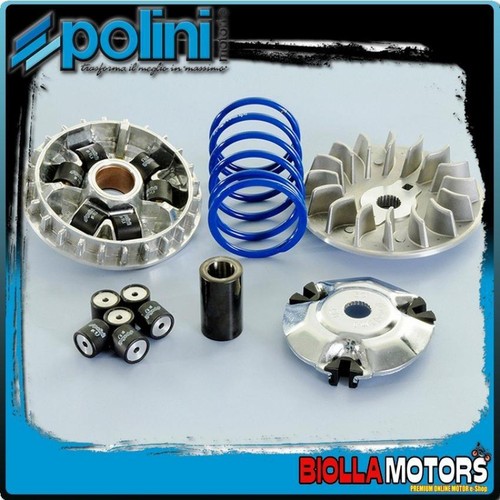 241 733 variatore polini - 241.733,