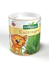 Contenitore Per Giardino Gatti Erba Per I Tuoi Gatti