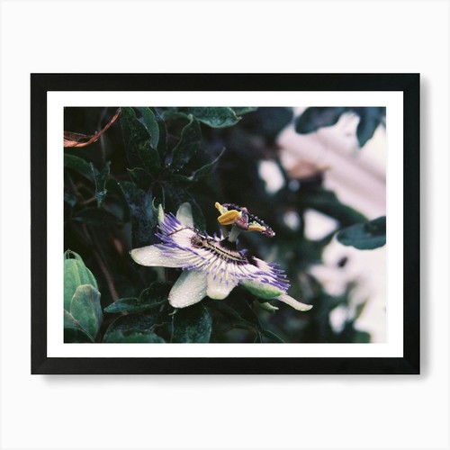 Quadro stampa tela poster - quadro,