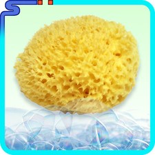 SPUGNA NATURALE DI MARE