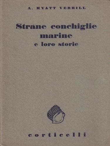Strane conchiglie marine - conchiglie, e